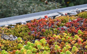 the cost of Pannels Ash green roof installation