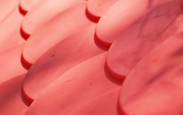 Pannels Ash plastic roof costs