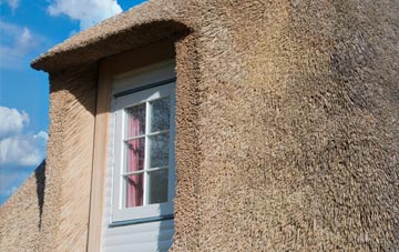 Pannels Ash thatch roof disadvantages