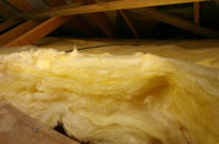 Pannels Ash pitch roof insulation